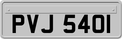 PVJ5401