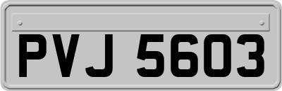 PVJ5603