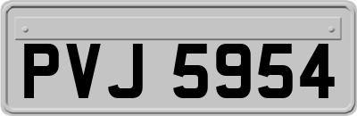 PVJ5954