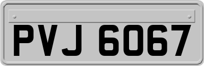 PVJ6067