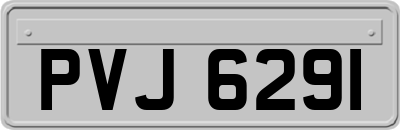 PVJ6291