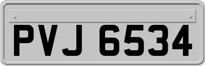 PVJ6534