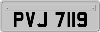 PVJ7119