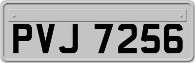 PVJ7256