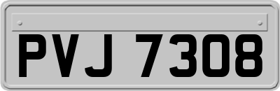 PVJ7308