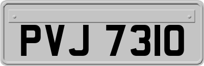 PVJ7310