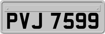 PVJ7599
