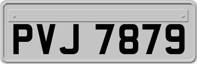 PVJ7879