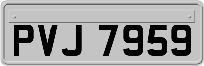 PVJ7959