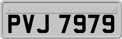 PVJ7979