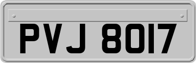 PVJ8017