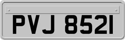 PVJ8521