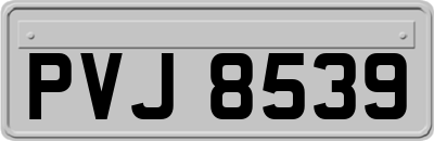PVJ8539
