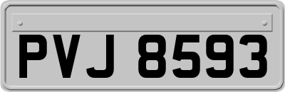 PVJ8593