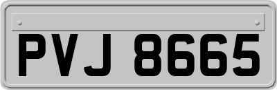 PVJ8665