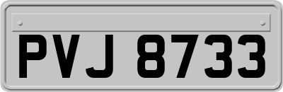 PVJ8733