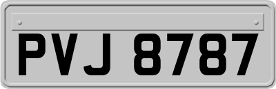 PVJ8787