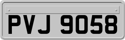 PVJ9058