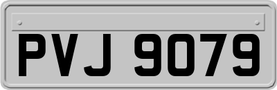 PVJ9079