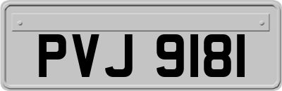 PVJ9181