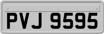 PVJ9595