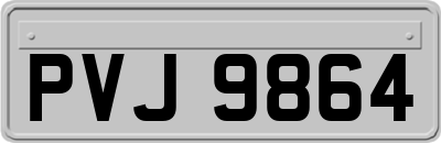 PVJ9864