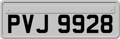 PVJ9928