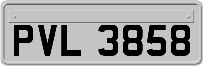 PVL3858