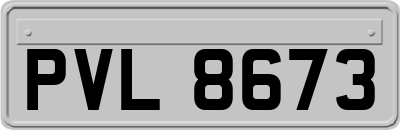 PVL8673