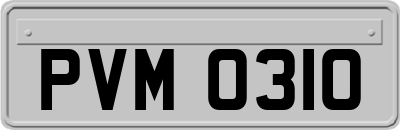 PVM0310