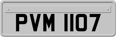PVM1107