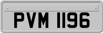 PVM1196