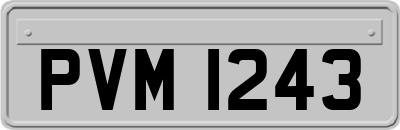 PVM1243