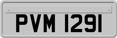 PVM1291