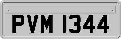 PVM1344