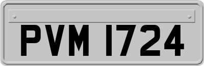 PVM1724
