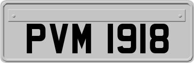 PVM1918