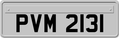 PVM2131