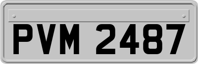 PVM2487
