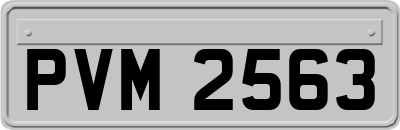 PVM2563