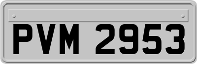 PVM2953