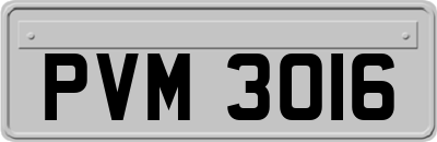 PVM3016