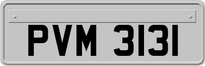 PVM3131