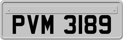 PVM3189