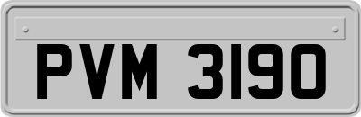 PVM3190
