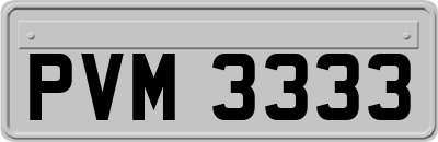 PVM3333