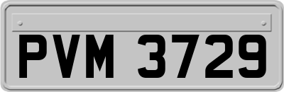 PVM3729
