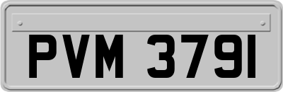 PVM3791