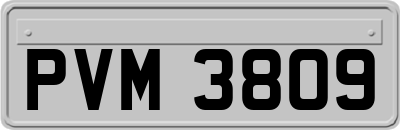 PVM3809