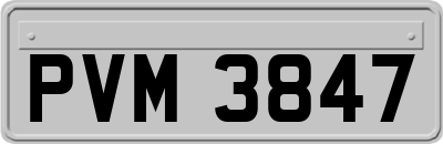 PVM3847